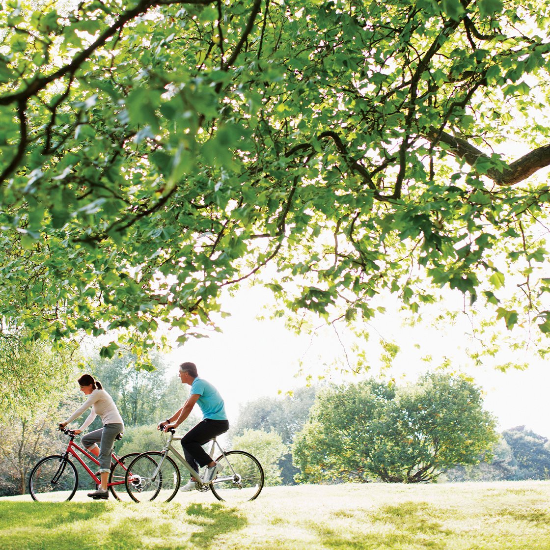 IMAGE: Adults biking