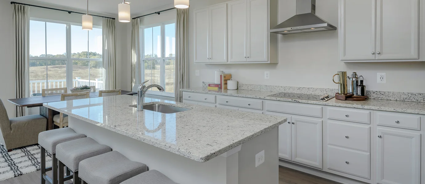 Single Family Norborne Glebe Lexington Kitchen1 F1 Hero