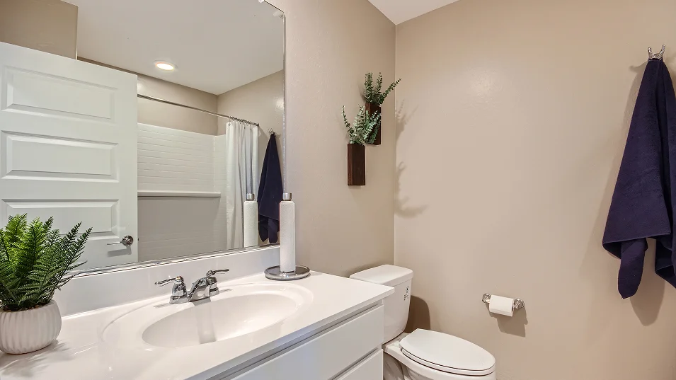2566 Lily Bath2 F1