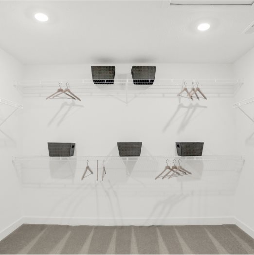 Owners Walk in Closet