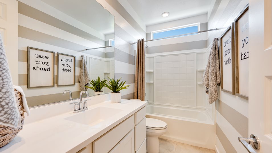 Sage Bathroom 2