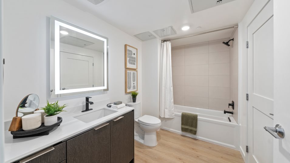 Owners bathroom