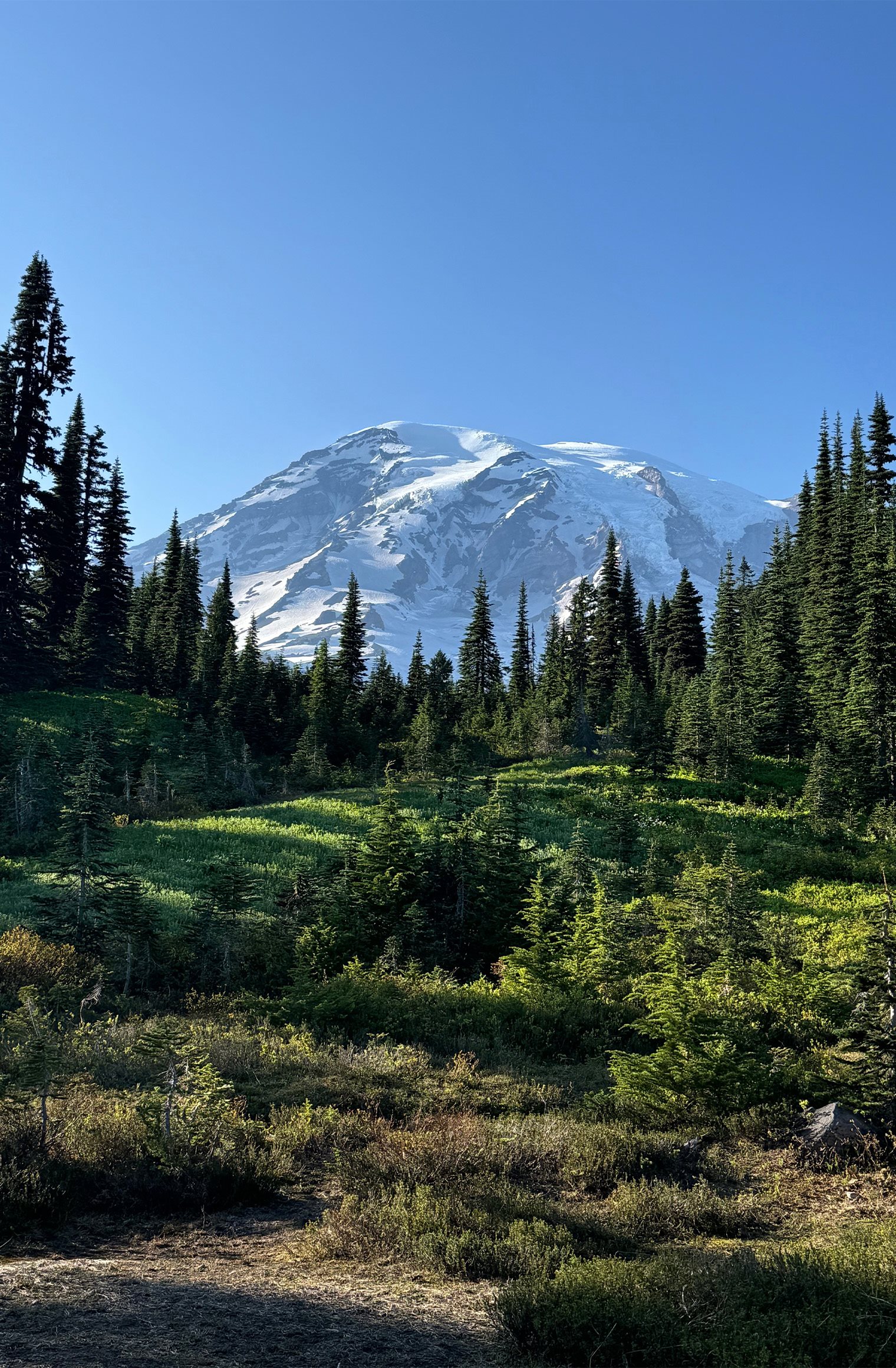 Washington state lifestyle card