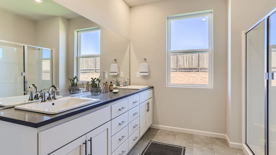 Camden Owner's Suite Bathroom