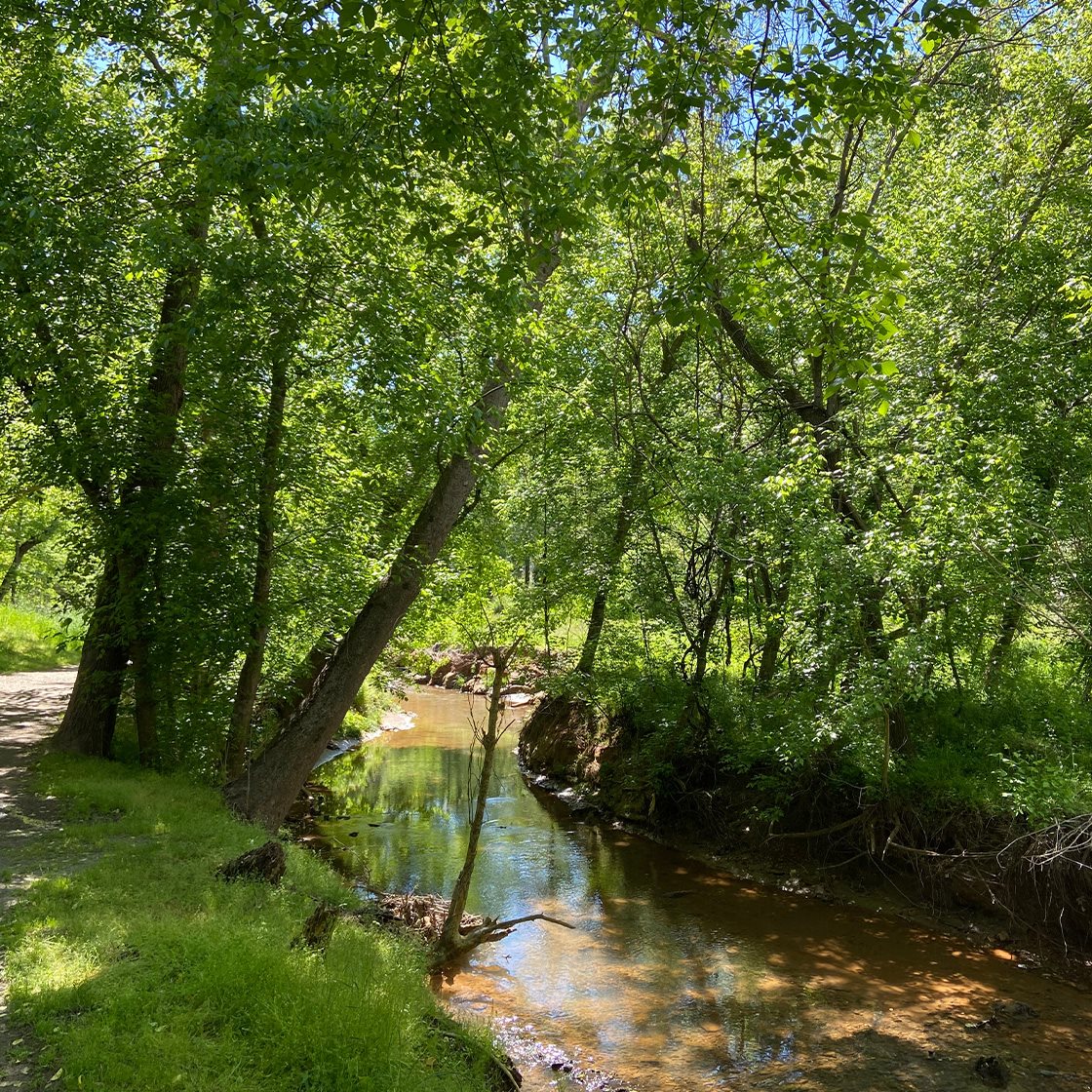BellFarm_Trails_1120x1120