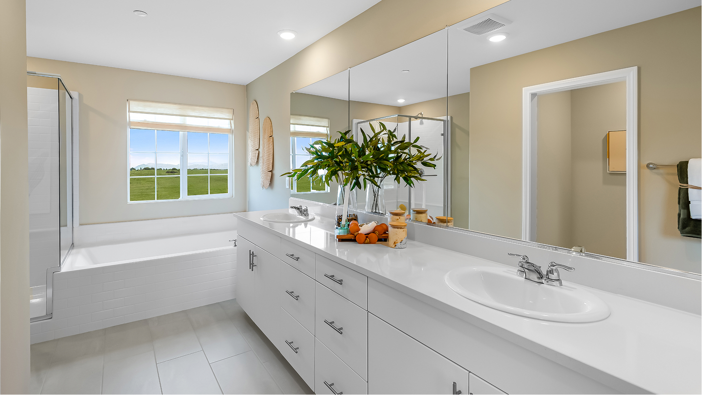 Runway Renaissance Res4 Owners Bath 1of3 F2