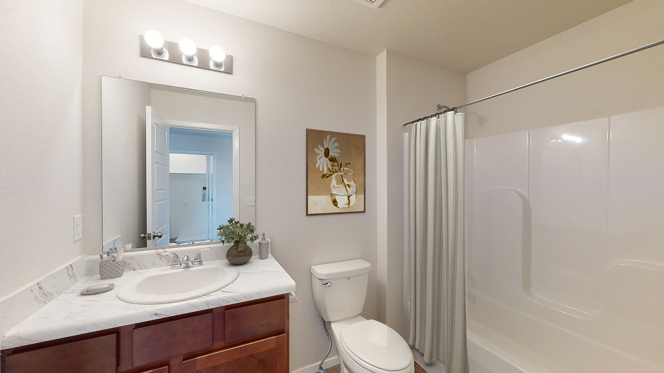 Taylor Core H600 Holland Bath2 F2