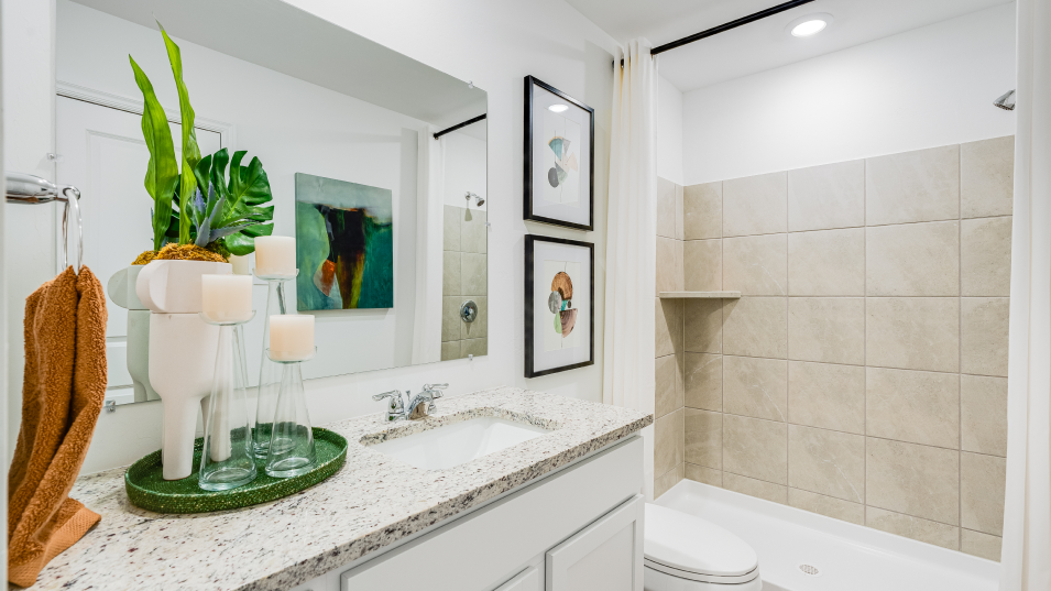 Owners Bathroom