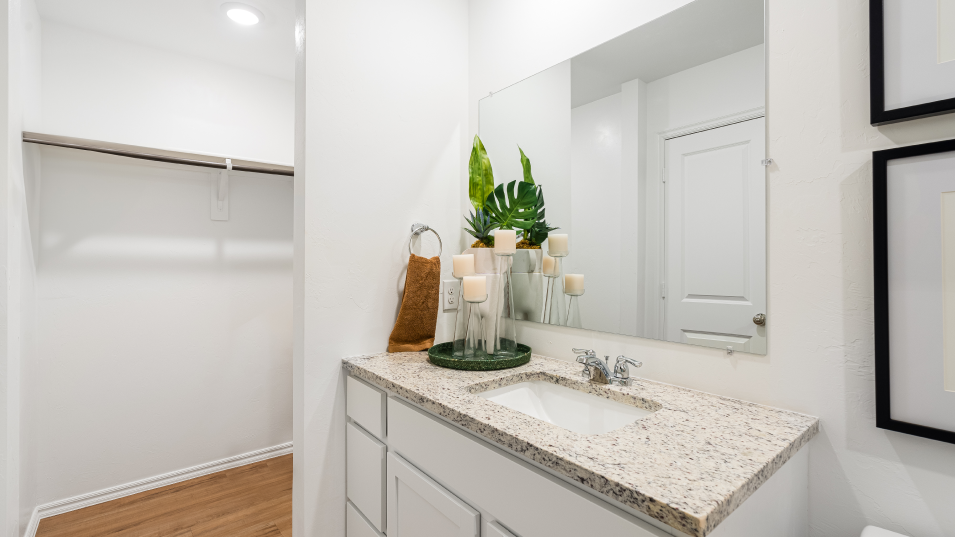 Owners Bathroom