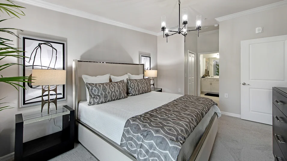 0087 Bromelia II Owners 1of2 Base2 6 3 25