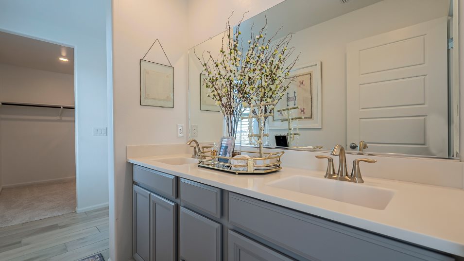 Owners Bath