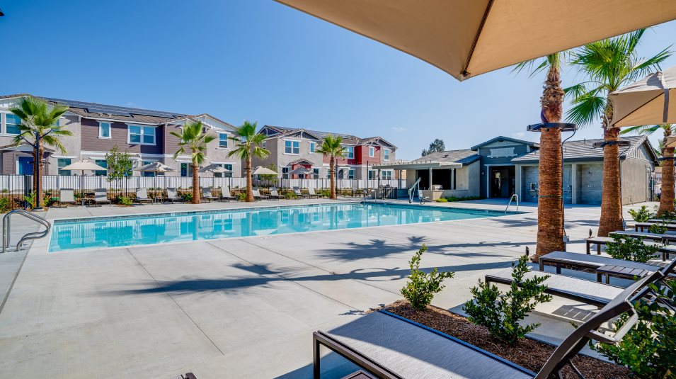 Pool amenity