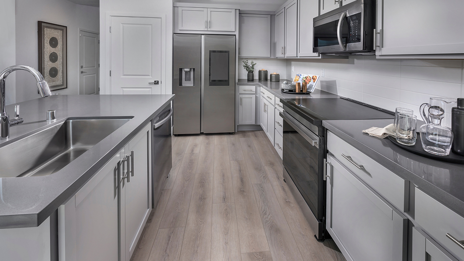Lugano Lakeshore Res1 Kitchen 2of2 F1 041425