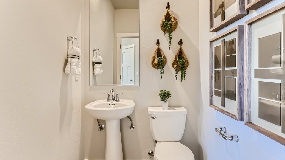 Charlotte Powder Room