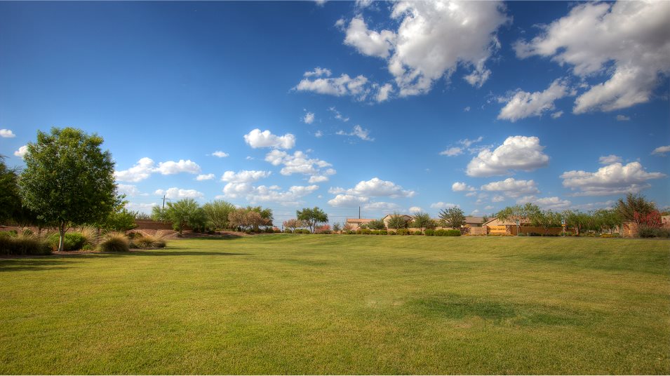 park