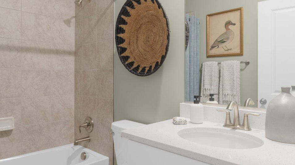 Lorton Bathroom 2