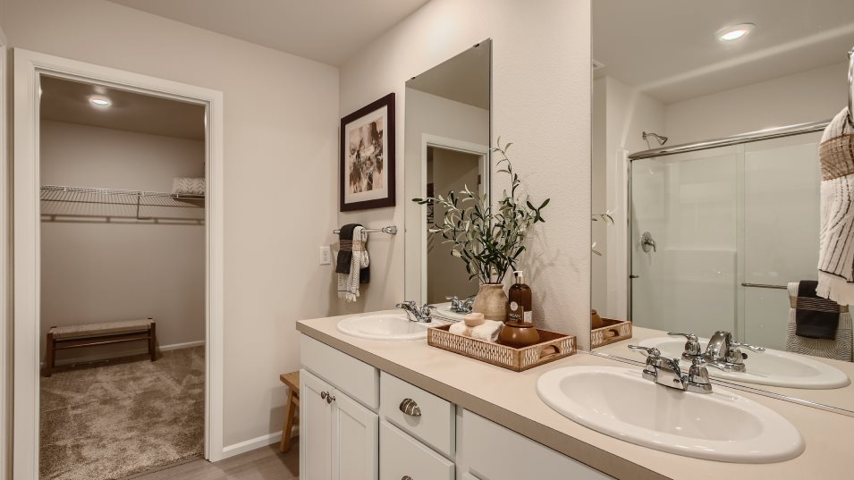 Bathroom and walk-in closet 