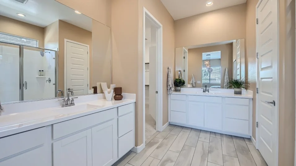 Owner's bathroom sinks