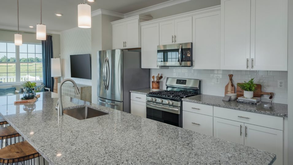 Arcadia Kitchen
