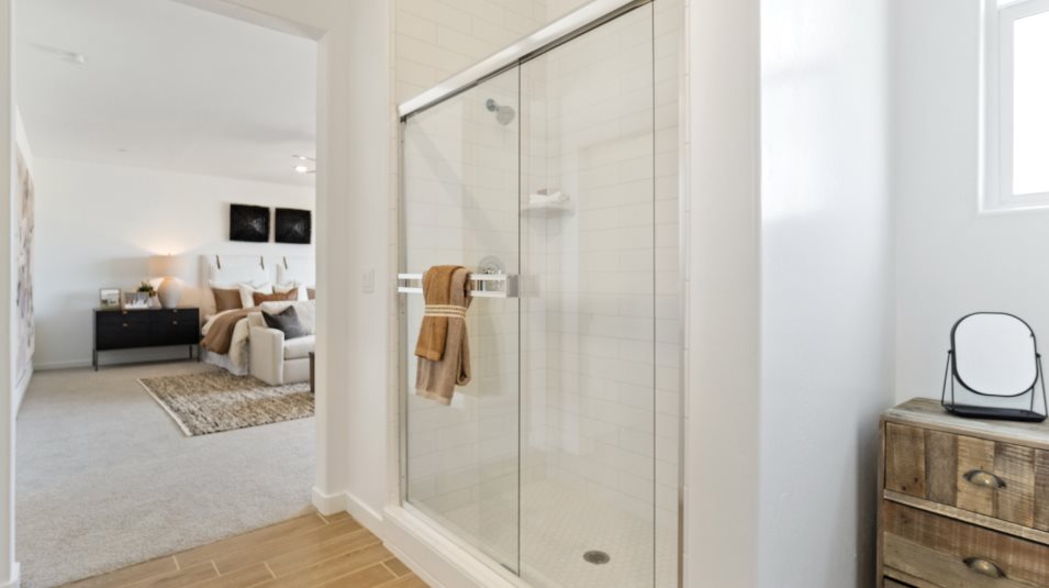 Owners bathroom walk in shower