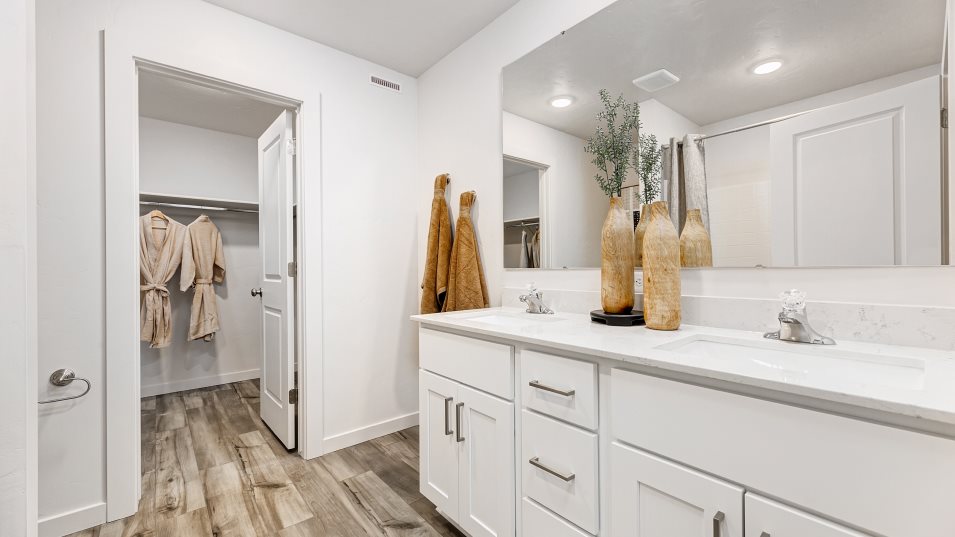Owner bathroom with closet entrance