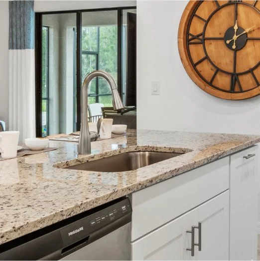 Trevi Kitchen Sink