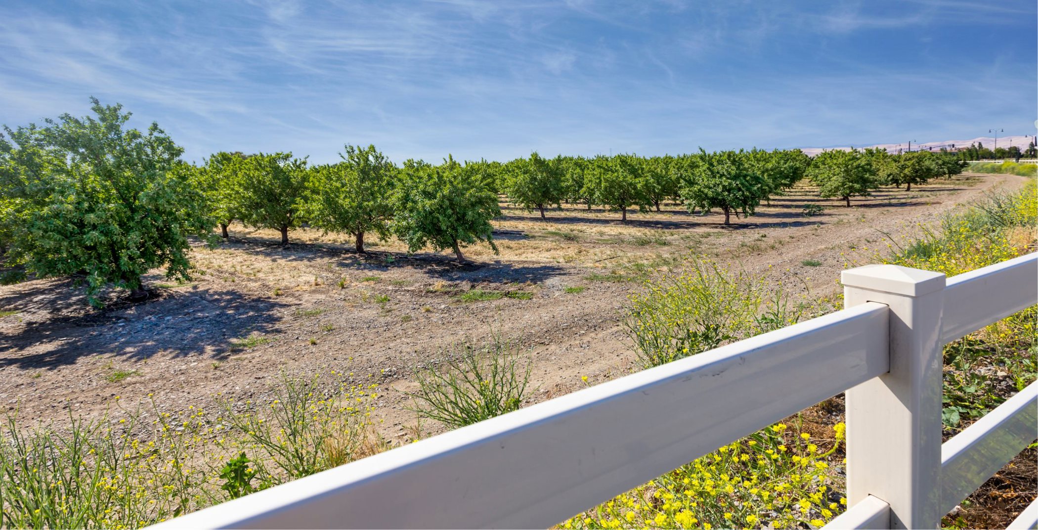 Tracy Agriculture 