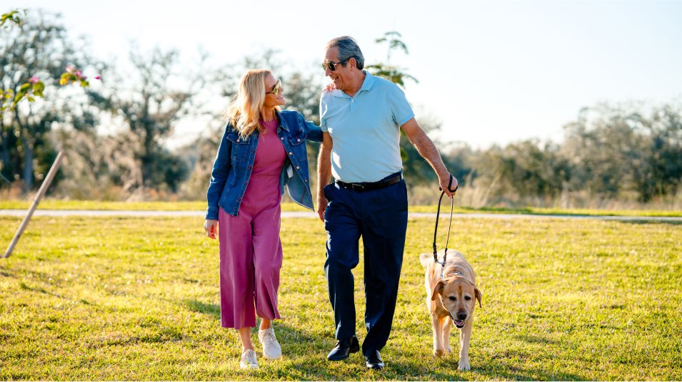 Walking dog in the park