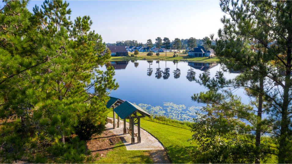 Fishing Lake