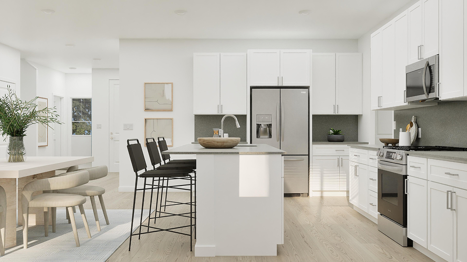 West Core N203 Laurel Kitchen 2of2 F1