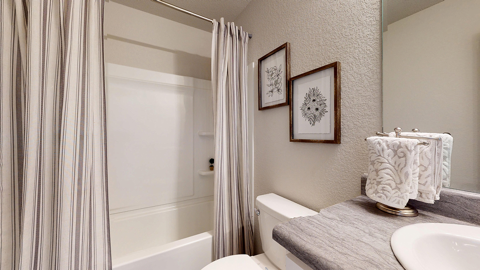 Taylor Core C430 Clark Bath2 F1 5 16 25