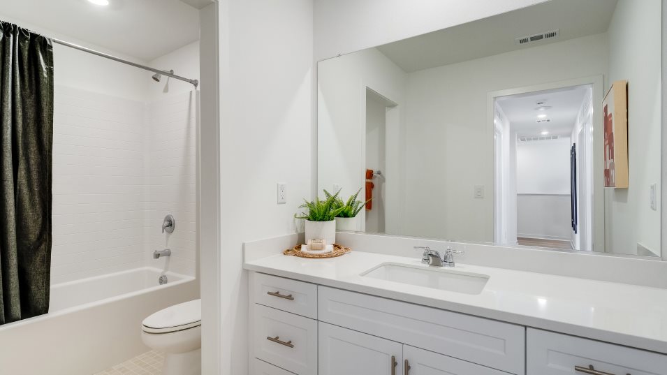Bath2 interior