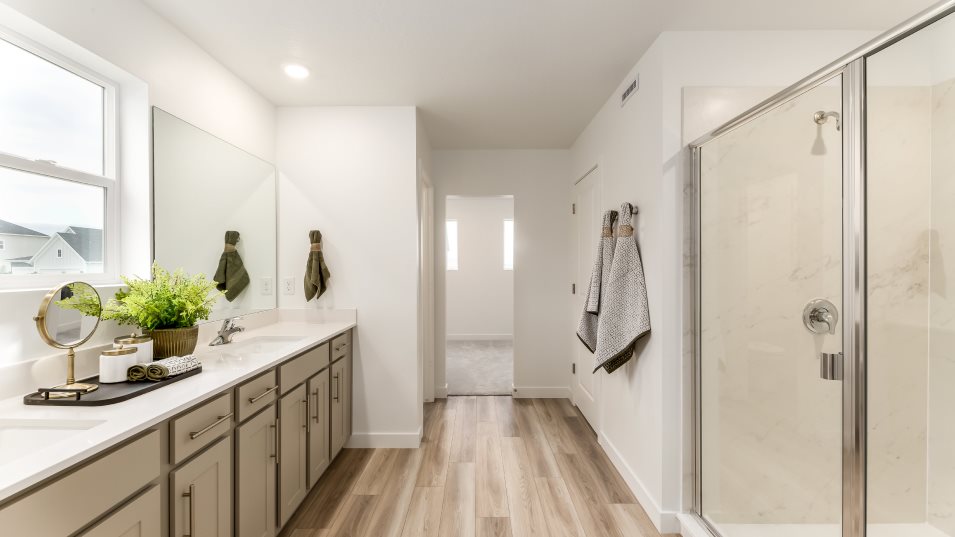 Owner's Bathroom