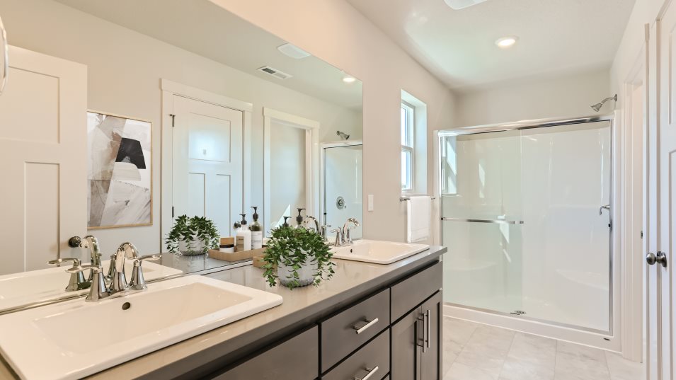 Fairview Owner's Bathroom