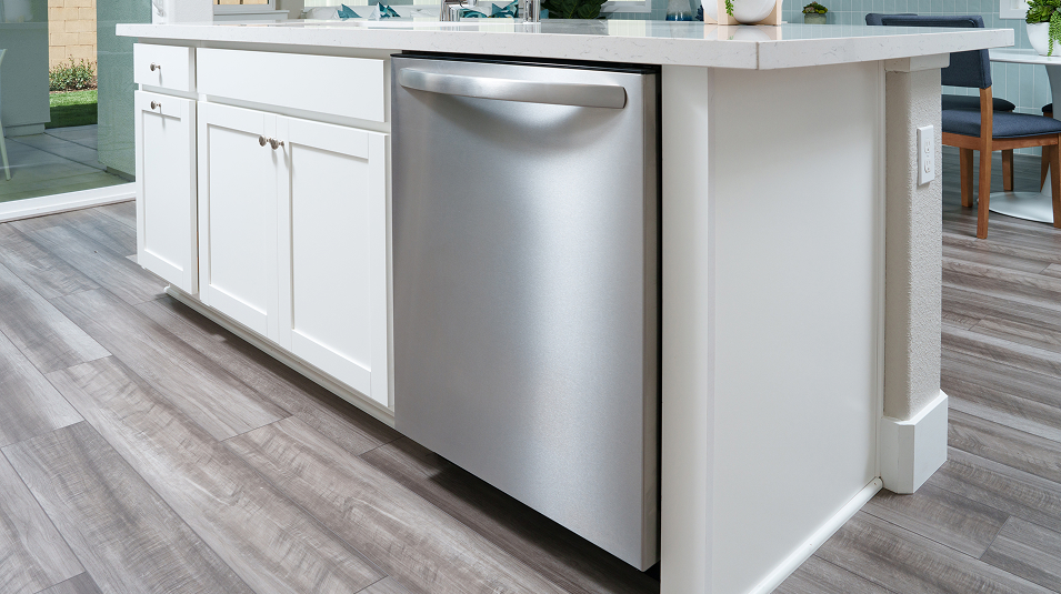 081125 Roxbury EI Dishwasher F1
