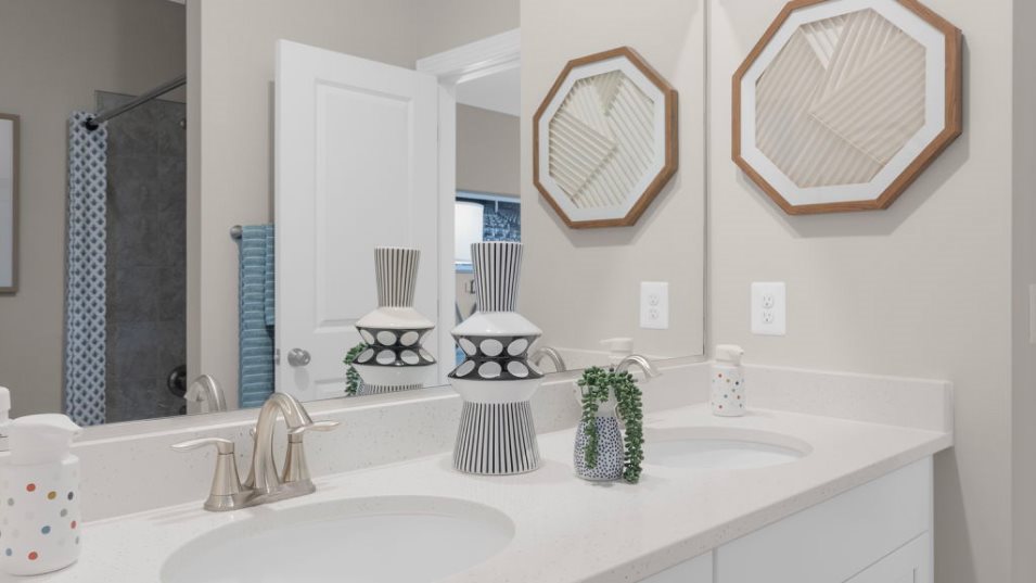 Lorton Bathroom 3