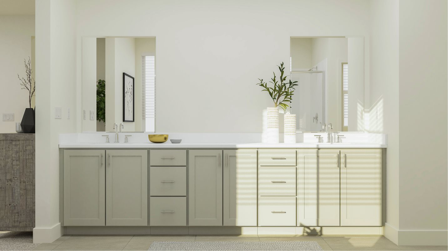 Owners bathroom dual sinks