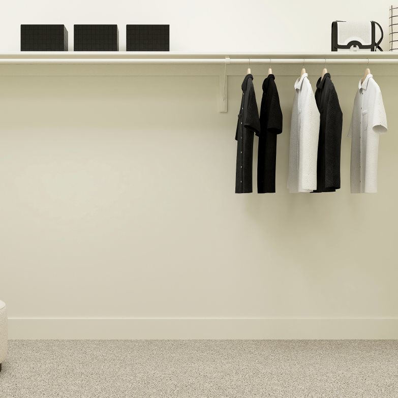 Owners walk in closet