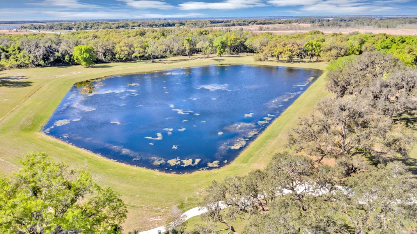 Pond