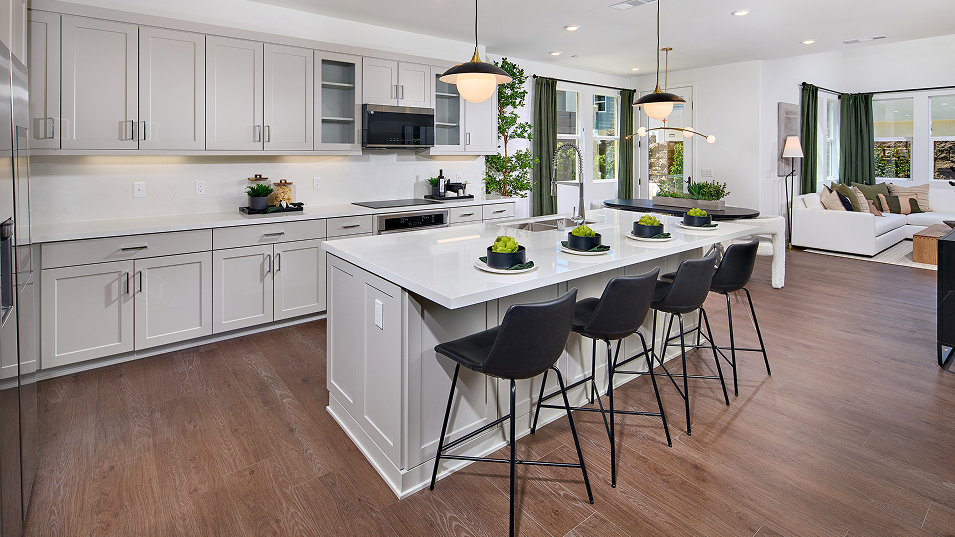 Radius Hill District Res4 Kitchen 2of3 F1