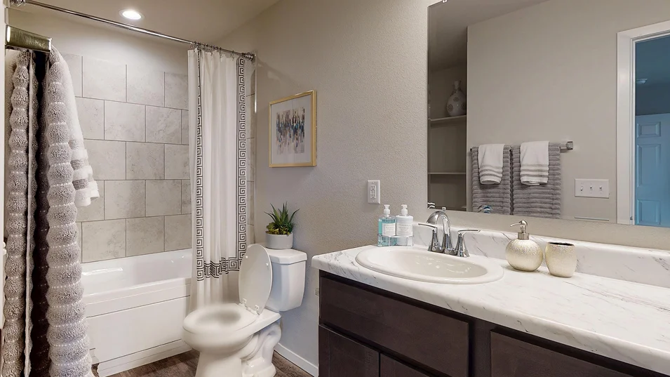 Taylor Core C430 Clark Owners Bath F1 Base1 5 16 25