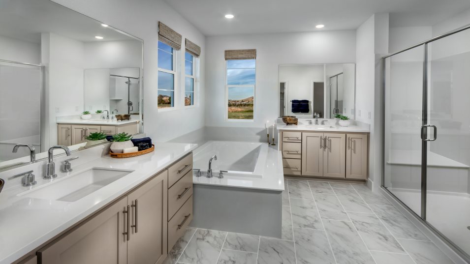 Owner's Suite Bathroom