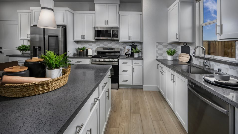 Residence C4 Kitchen