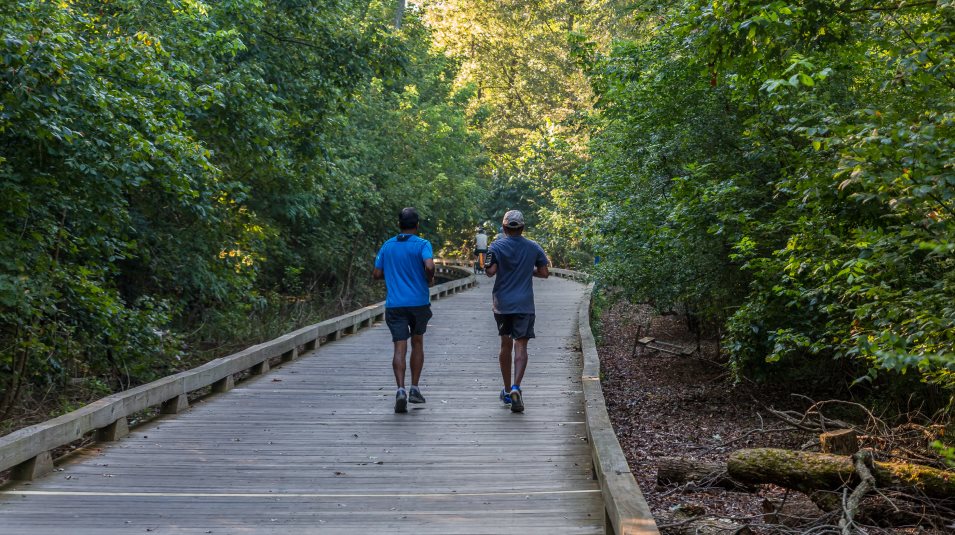 Weavers Ridge Trail Amenity