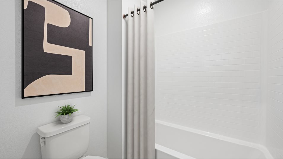 Bellevue Bathroom 2