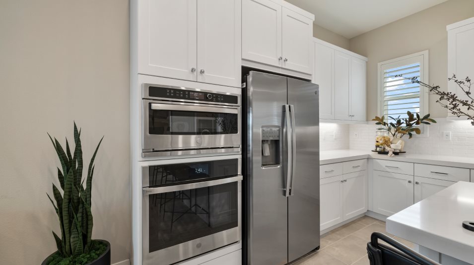 Fridge and other appliances in the kitchen
