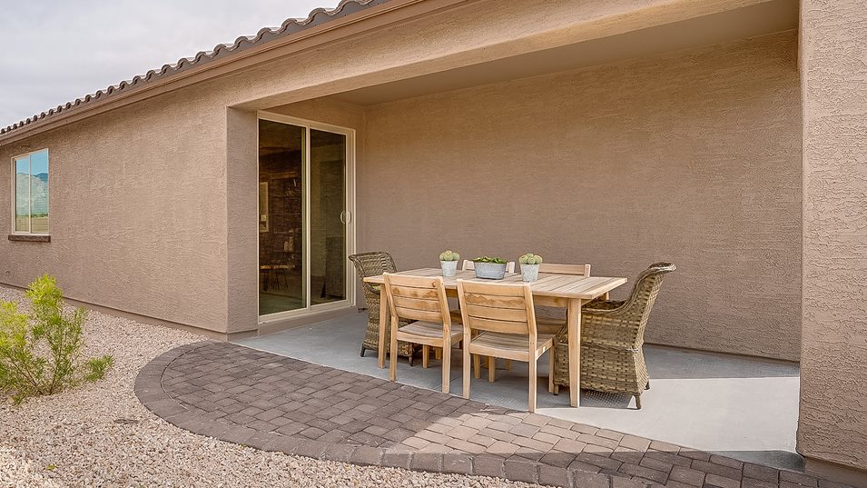 Ocotillo Backyard