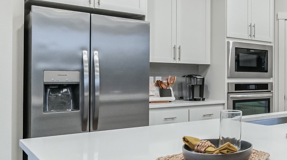 Stainless Steel Appliances