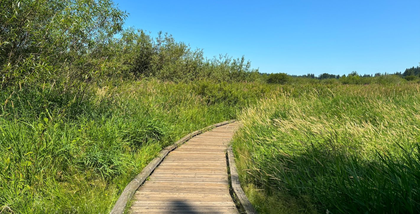 North Creek trail