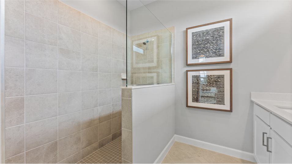 Trevi Owner's Suite
